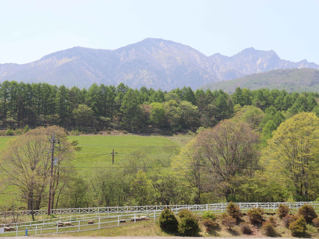 Yatsugatake Kogen Line景点图片