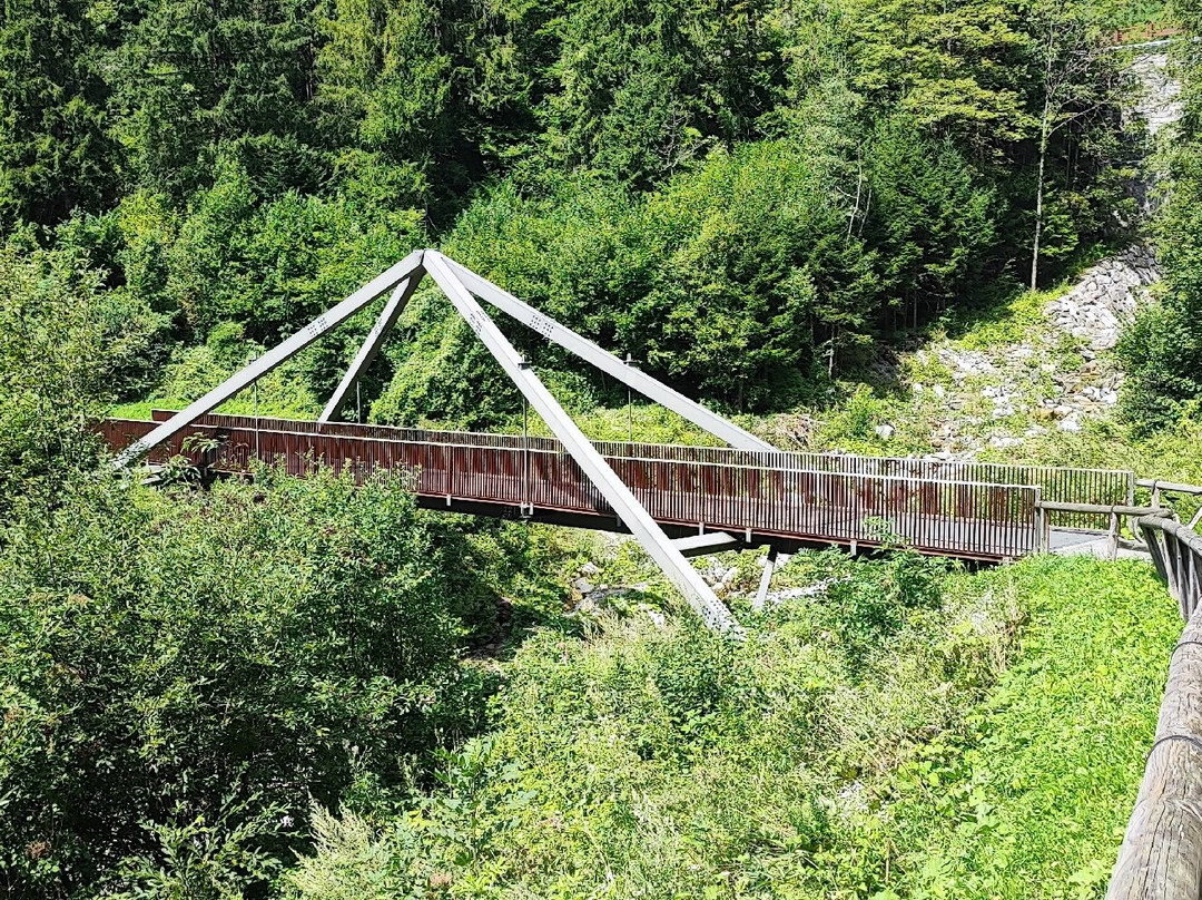 Ciclabile Dolomiti - La Lunga Via delle Dolomiti景点图片