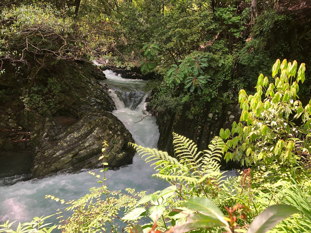 Deai-daru Falls Kawazu Nanadaru Waterfalls-河津町必去景点