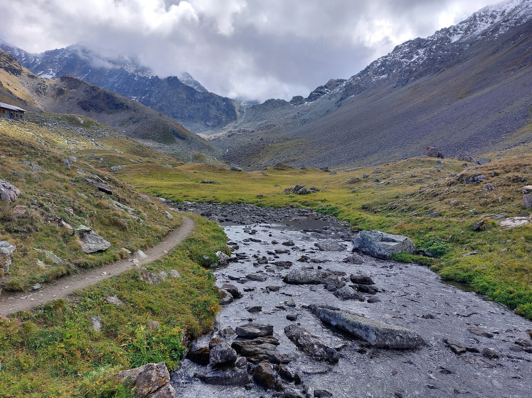 Rifugio Arbolle景点图片