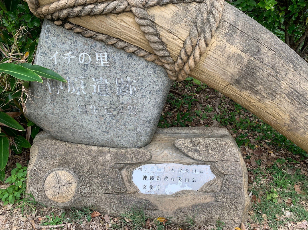 Nakabaru Site景点图片