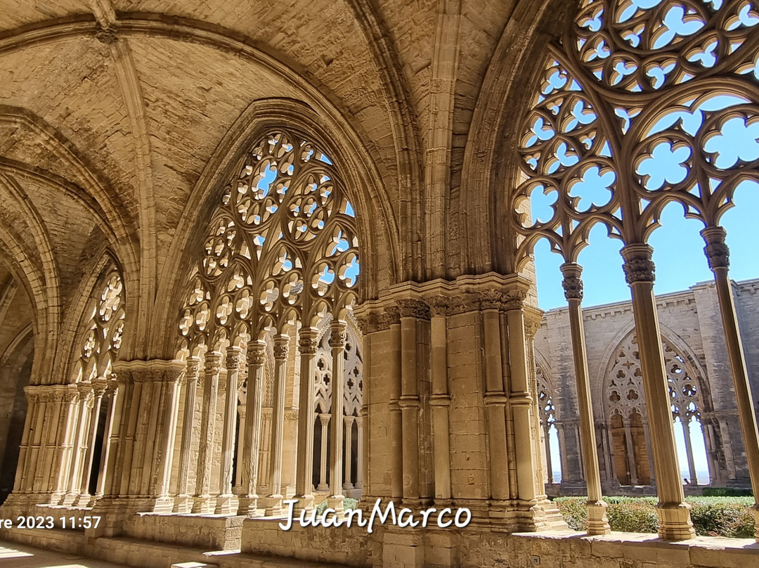La Catedral Vieja景点图片