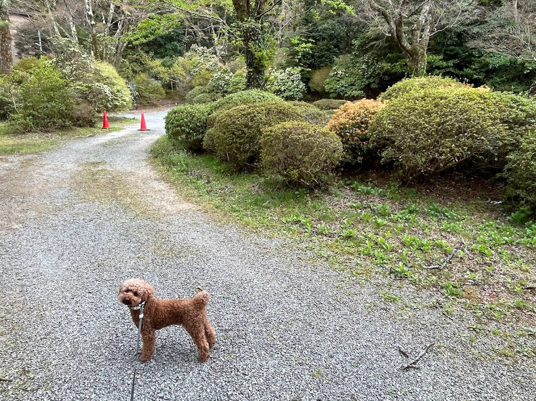 Hakone Kowakien Horai Garden景点图片