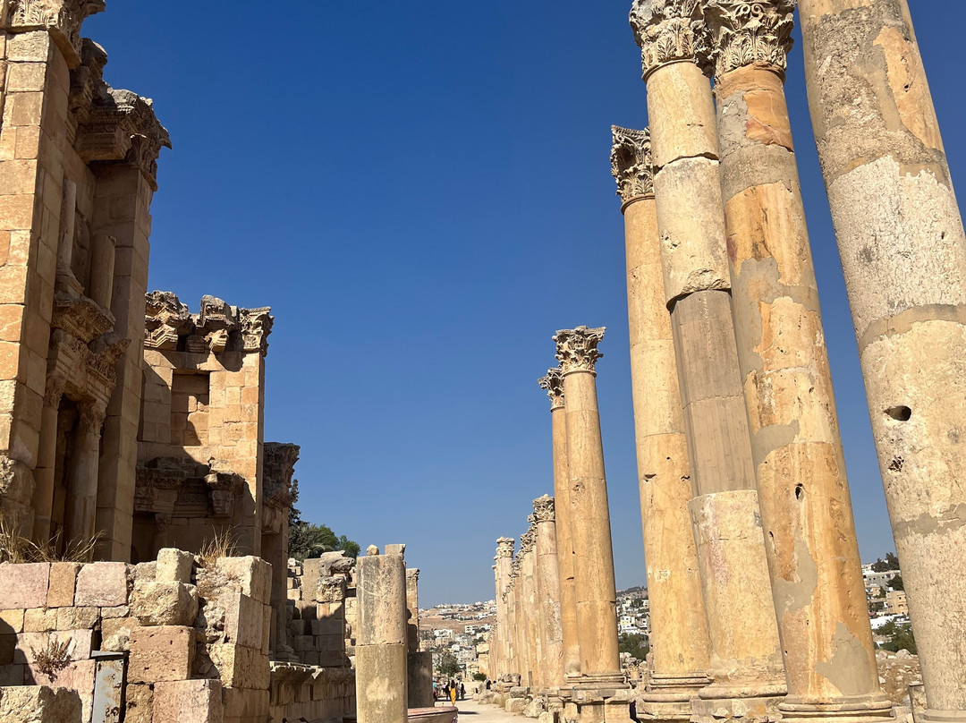 Camel Taxi-安曼必去景点