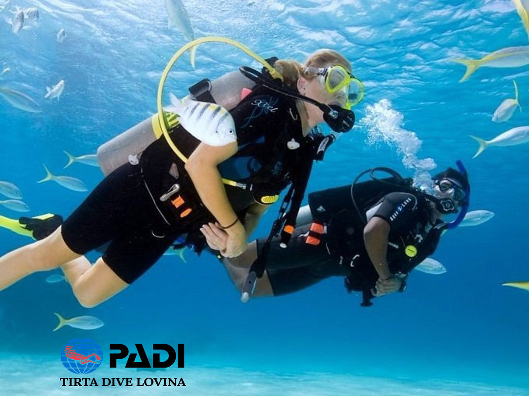 Tirta Dive Lovina-罗威那海滩必去景点