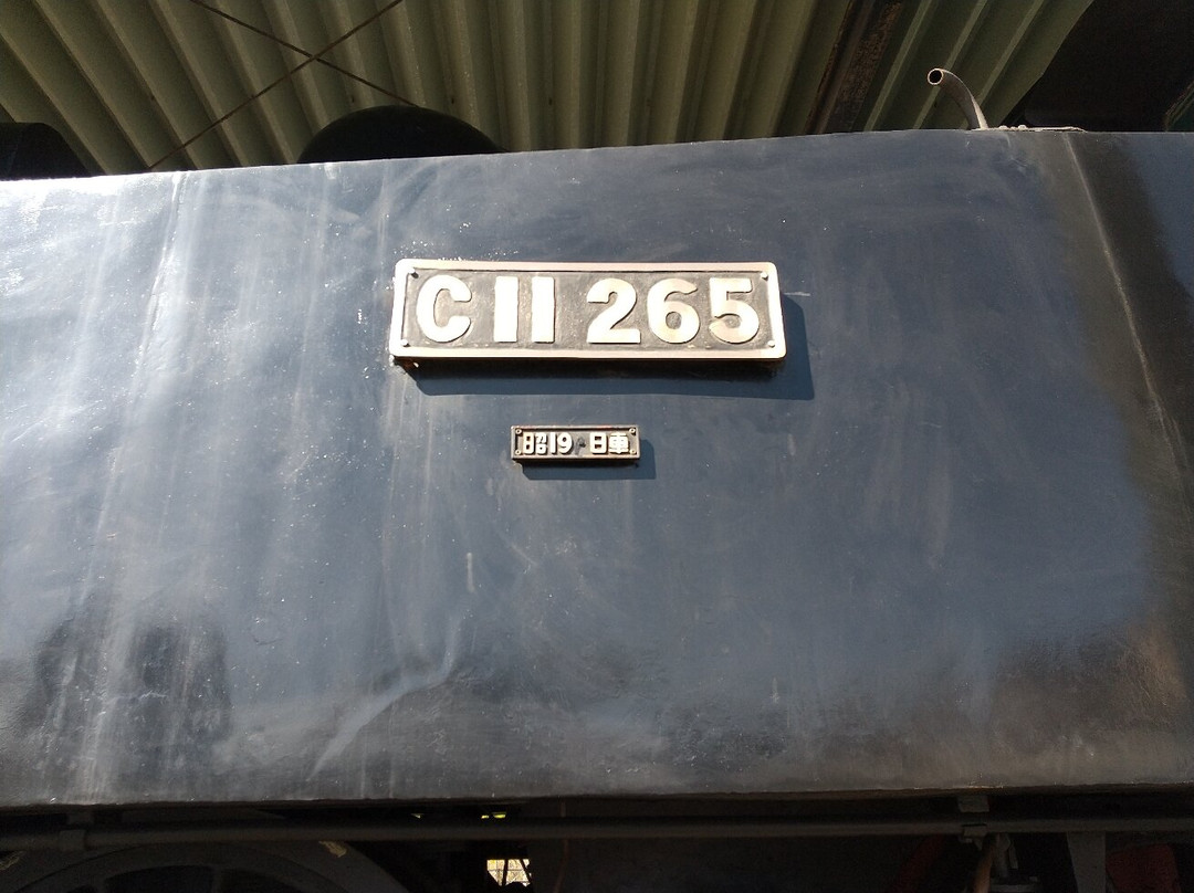 C11 265 Steam Locomotive-半田市必去景点