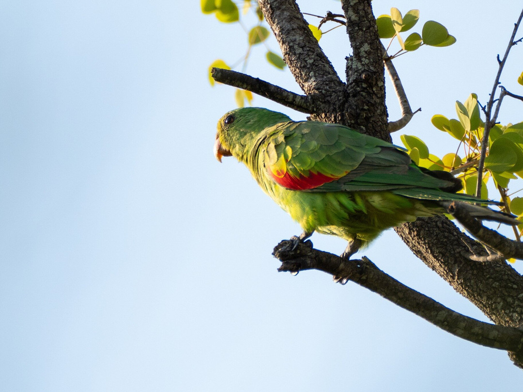 Broome Bird Observatory-布鲁姆必去景点