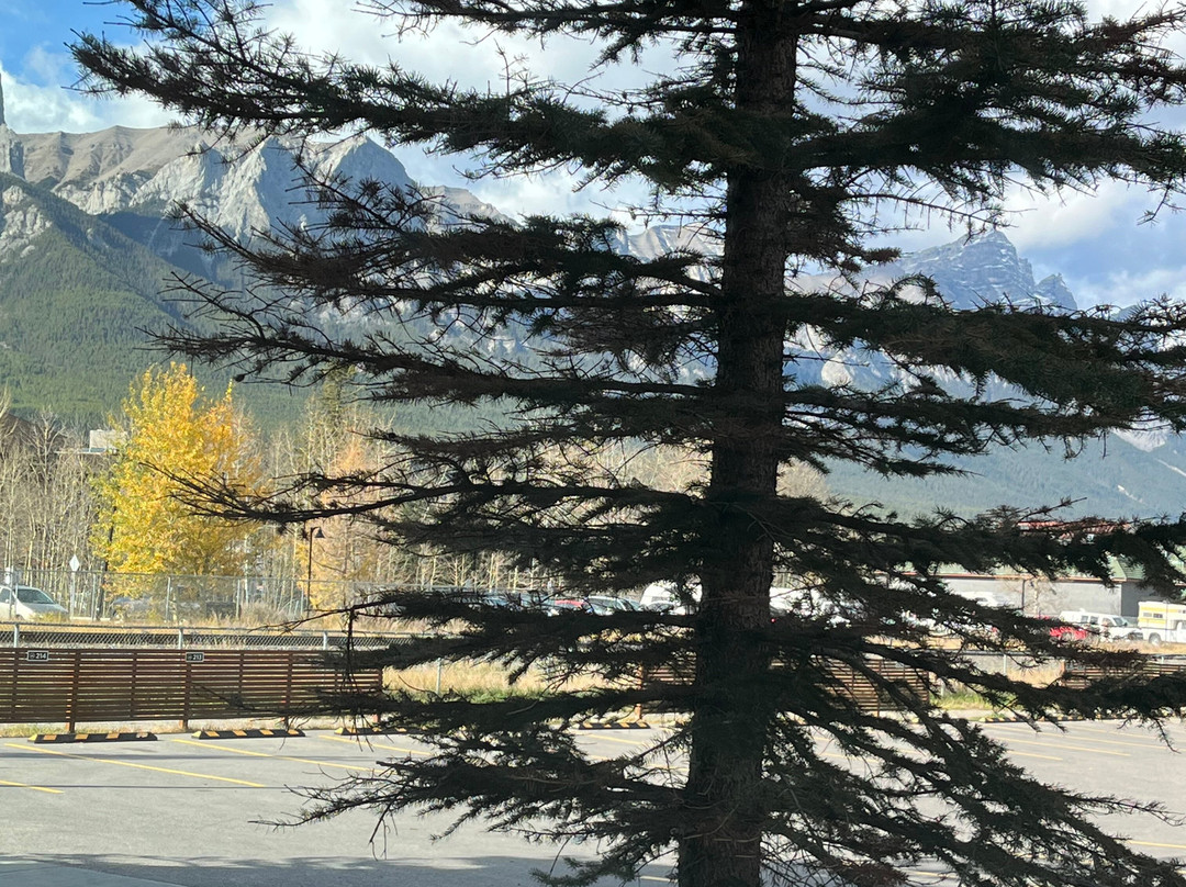 Basecamp Lodge Canmore主图