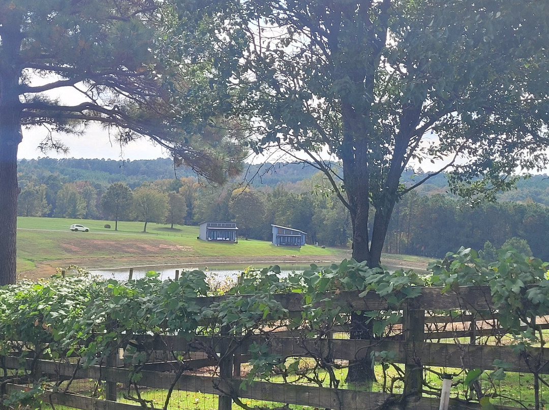 Enoch's Stomp Vineyard & Winery-Harleton必去景点