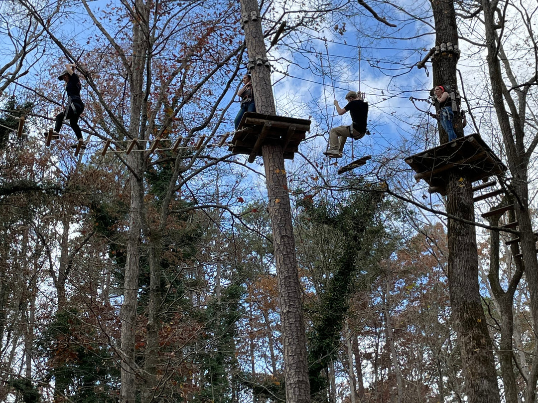 Carolina Treetop Challenge景点图片