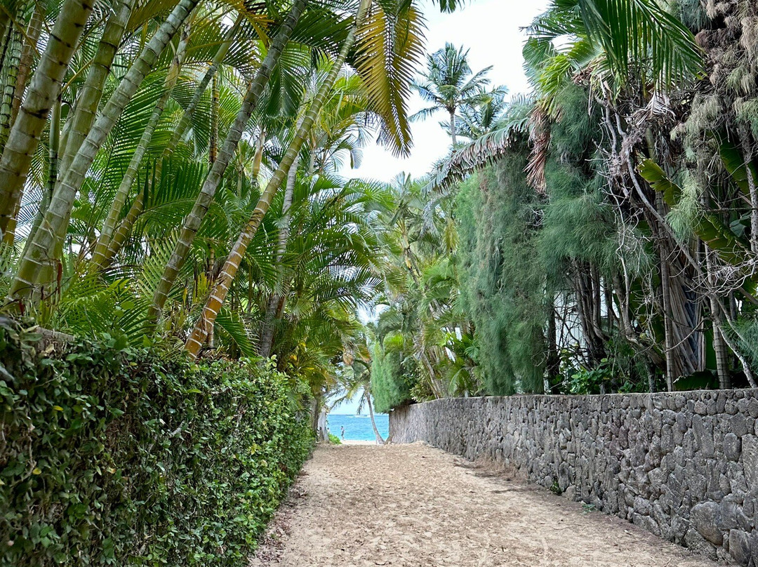 Hawaii Bucket List Tours-火奴鲁鲁必去景点