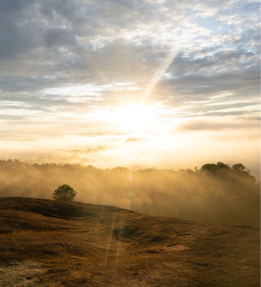 Places2Go Suriname-帕拉马里博必去景点