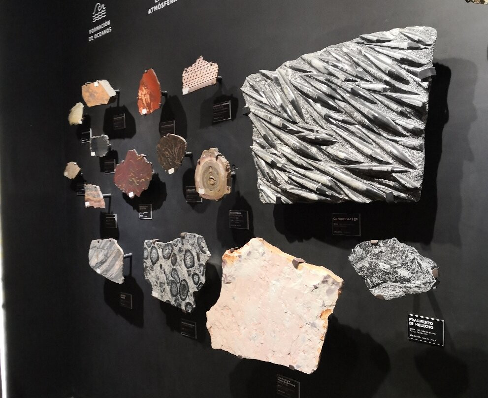 MUSEO DEL METEORITO EL ORIGEN DE LA NUEVA VIDA-Progreso必去景点