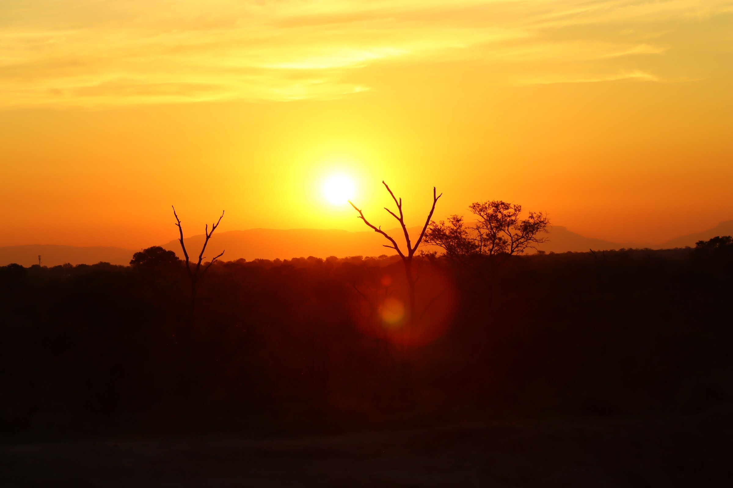 Honeyguide Khoka Moya & Mantobeni Camps-酒店景观