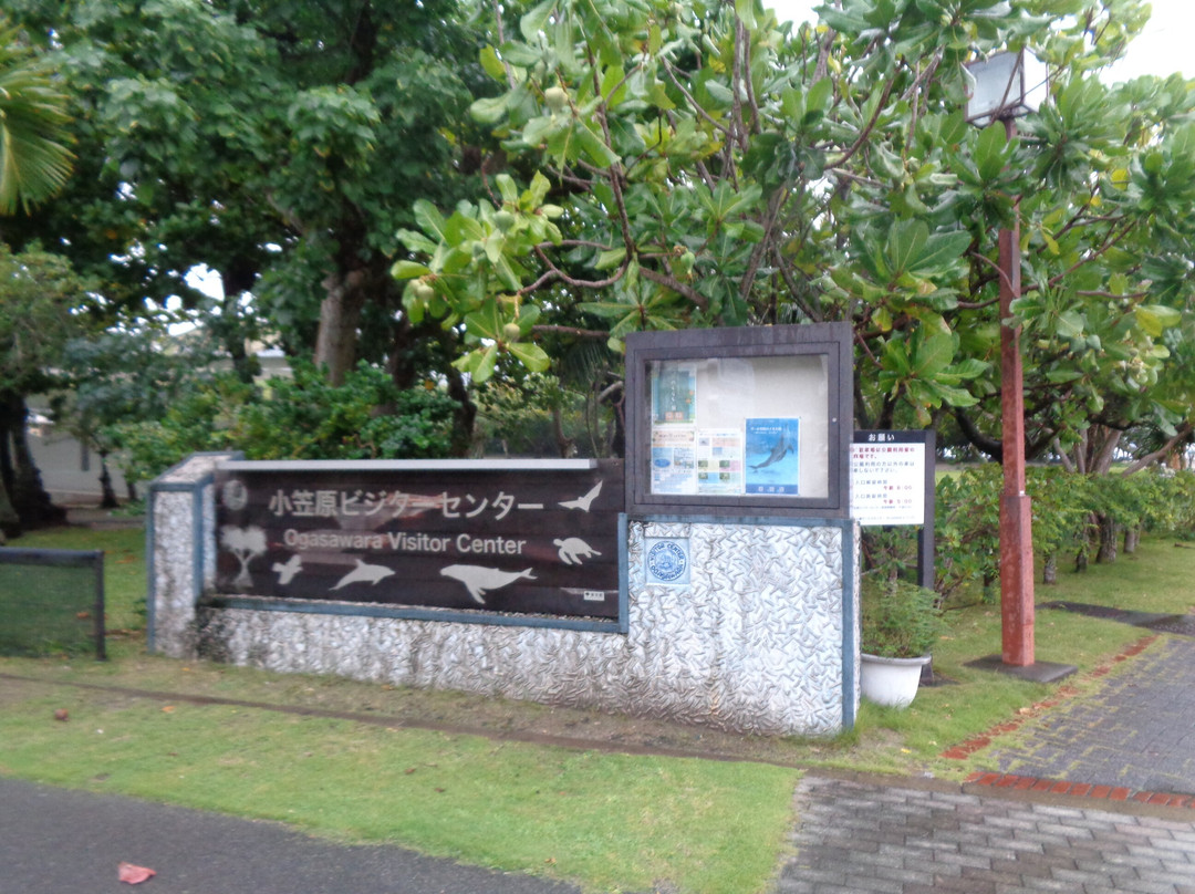 Ogasawara Visitor Center-小笠原村必去景点