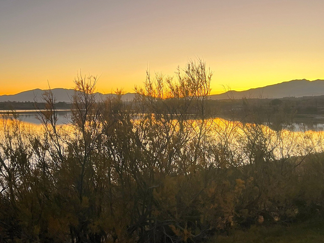 Lac de Villeneuve-de-la-Raho景点图片