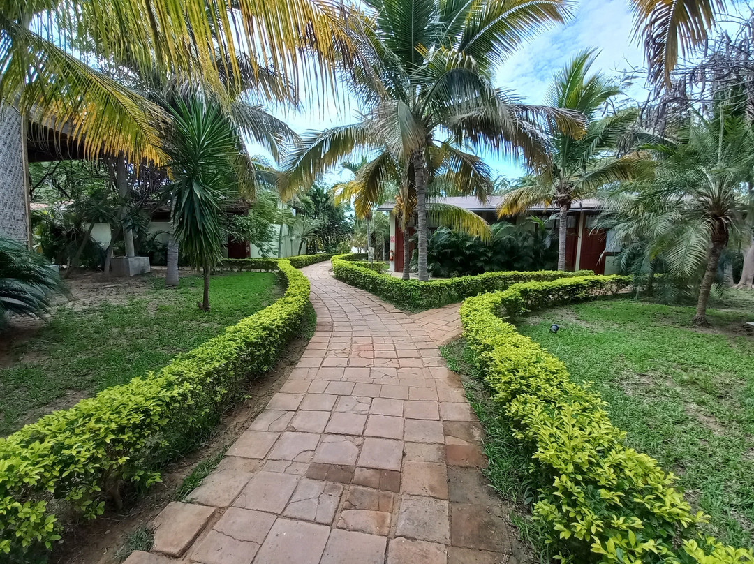 Bungalows & Suites Punta Camaron主图