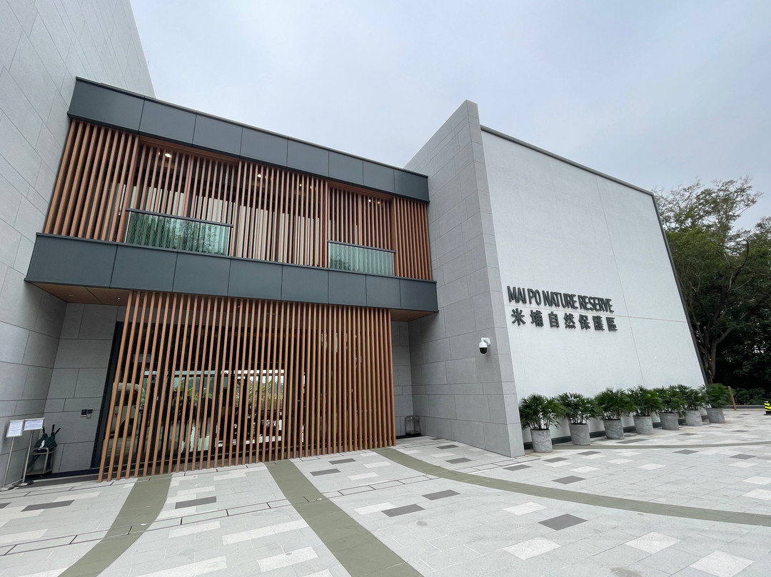 米埔自然保护区-香港必去景点
