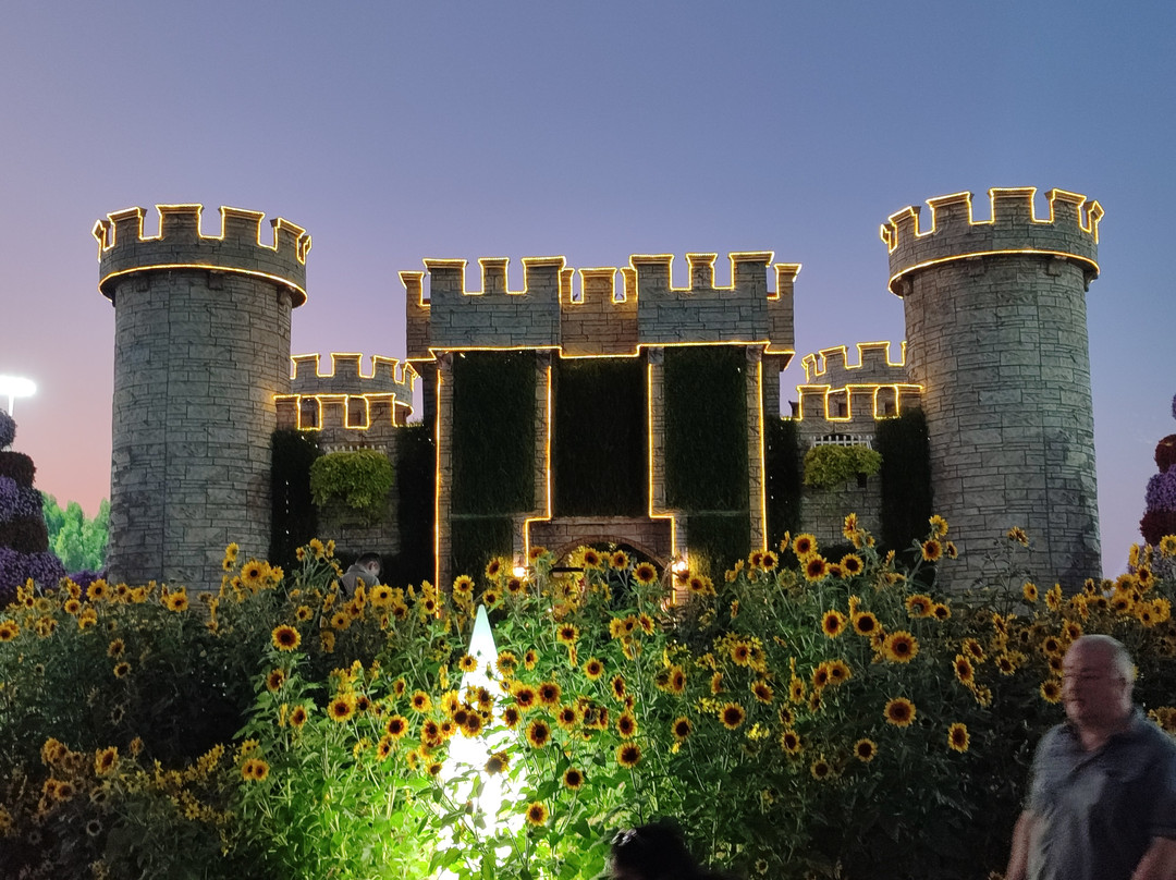 Said Tours-阿治曼必去景点