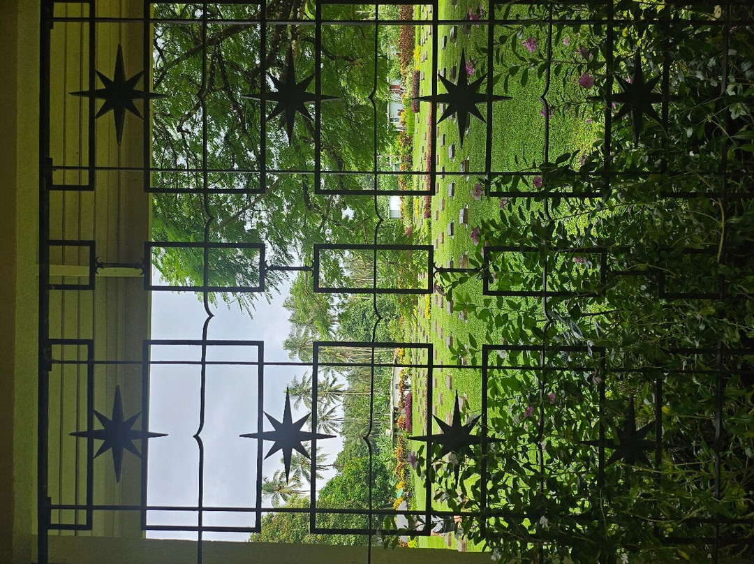 Rabaul Scenic Tours景点图片