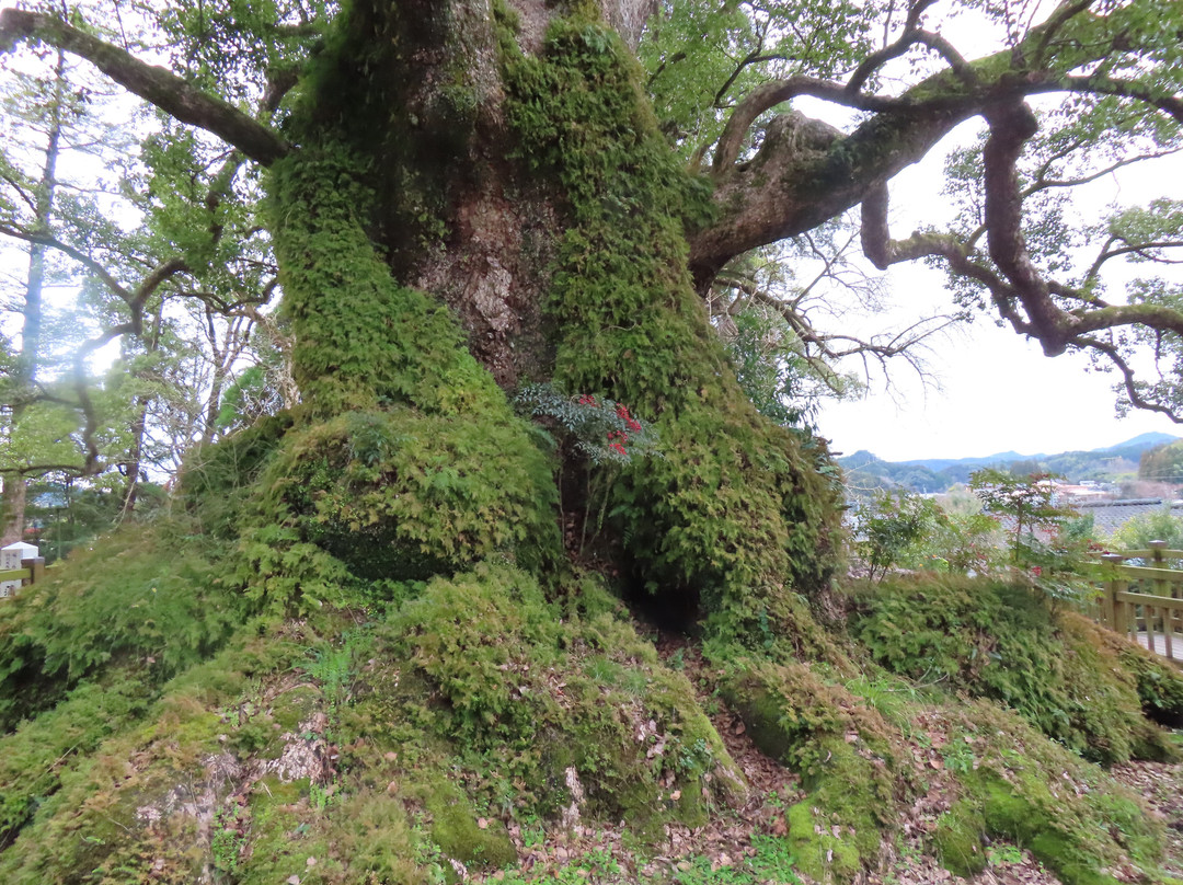 Kamo Hachiman Shrine景点图片