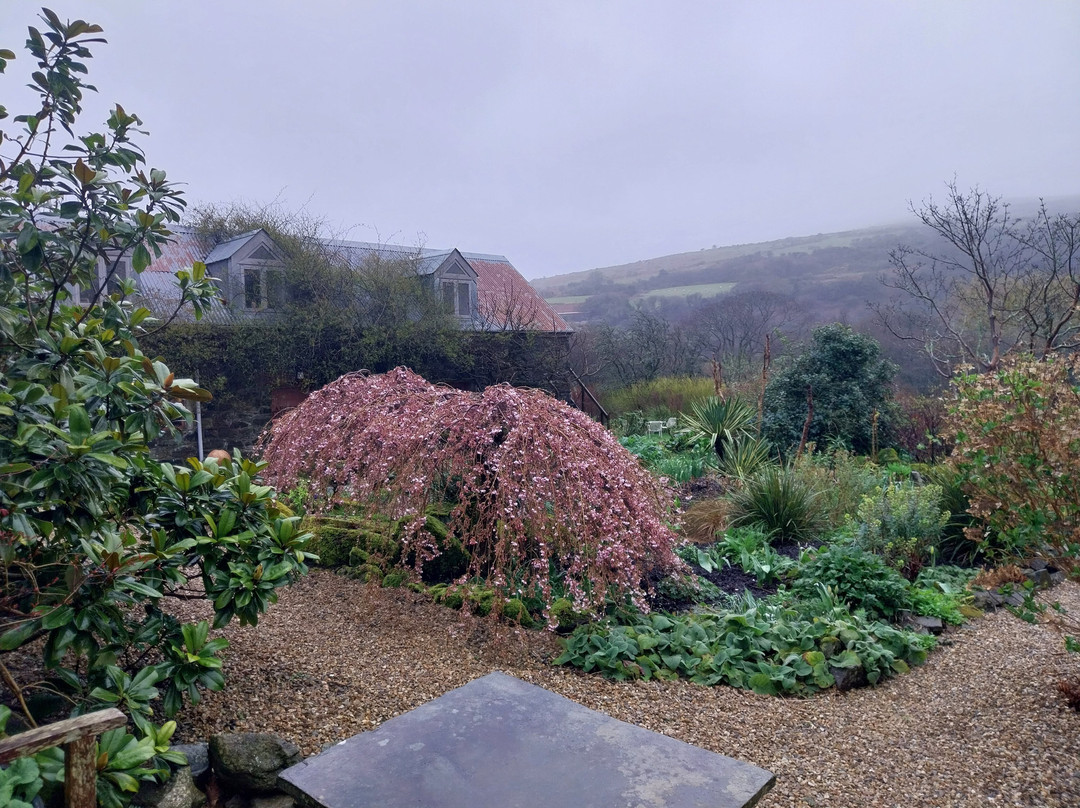 Dyffryn Fernant Gardens-Fishguard必去景点
