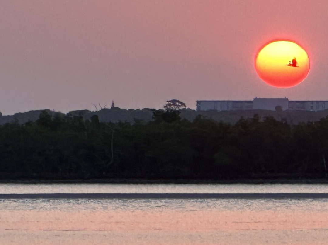 Black Dolphin Inn主图