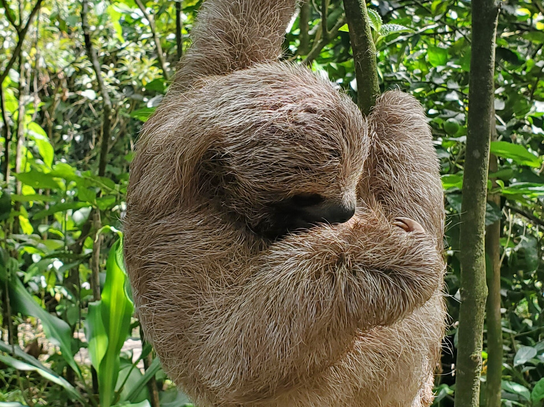 Costa Rica Xploring Tours景点图片