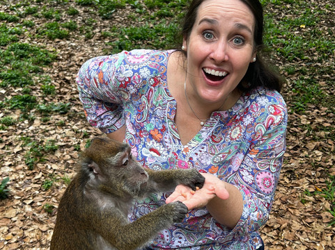 Bohol Island Tour-塔比拉兰必去景点