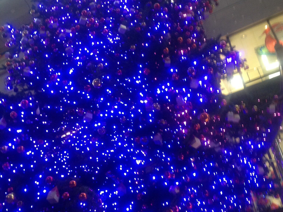 Elgala Passage景点图片