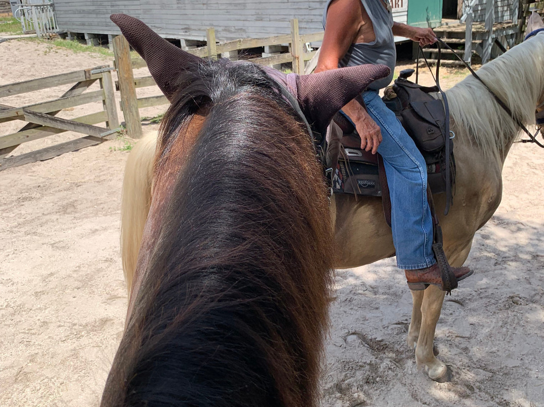 Florida Agricultural Museum-棕榈海岸必去景点
