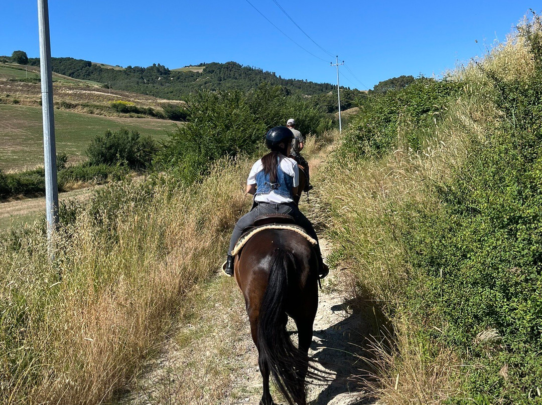 Centro Equestre Samarcanda-沃尔泰拉必去景点