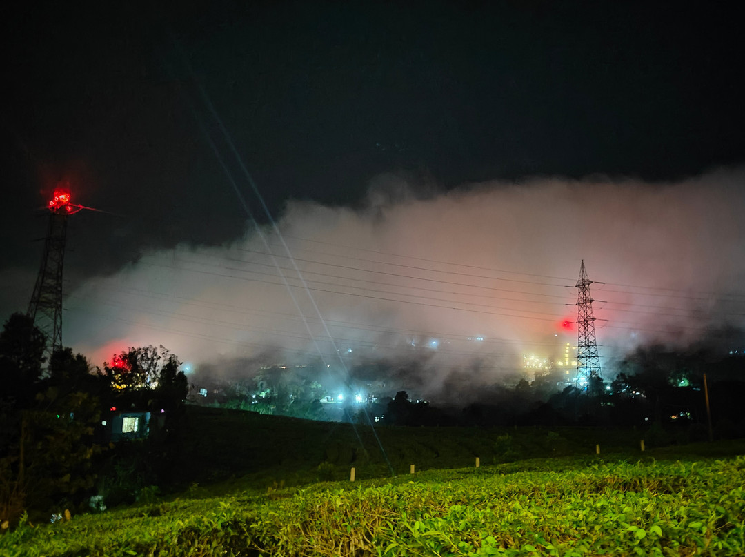 Tea Harvester主图