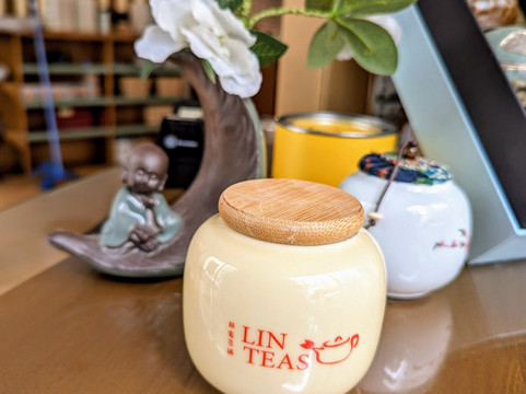 Lin Teas-里昂必去景点