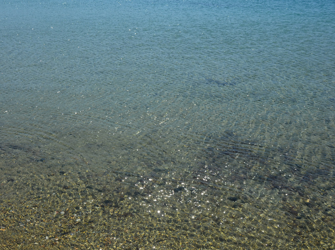 Παραλία αποκοφτό景点图片