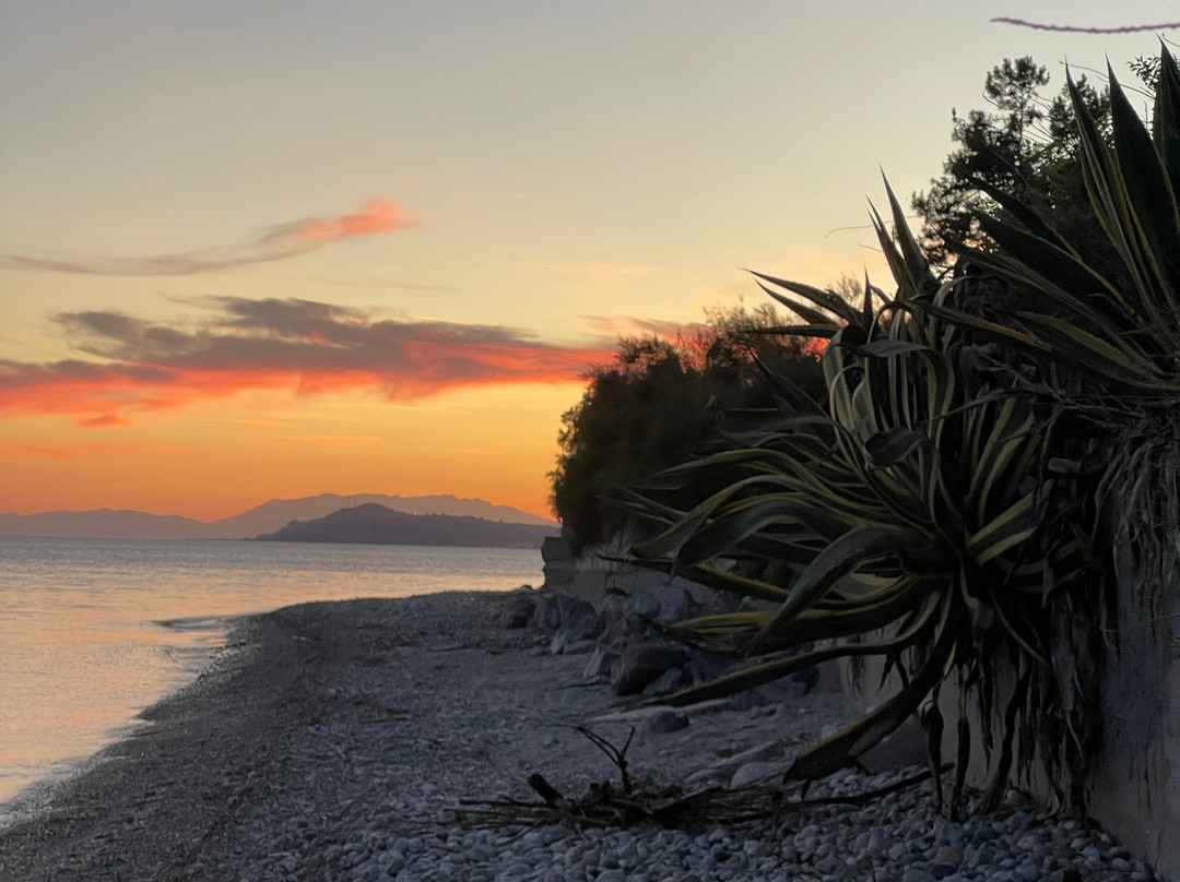 Mariya Art Living主图