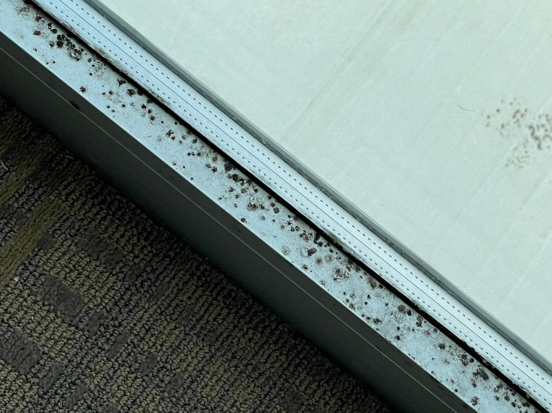 Holiday Inn Cincinnati N - West Chester By IHG主图