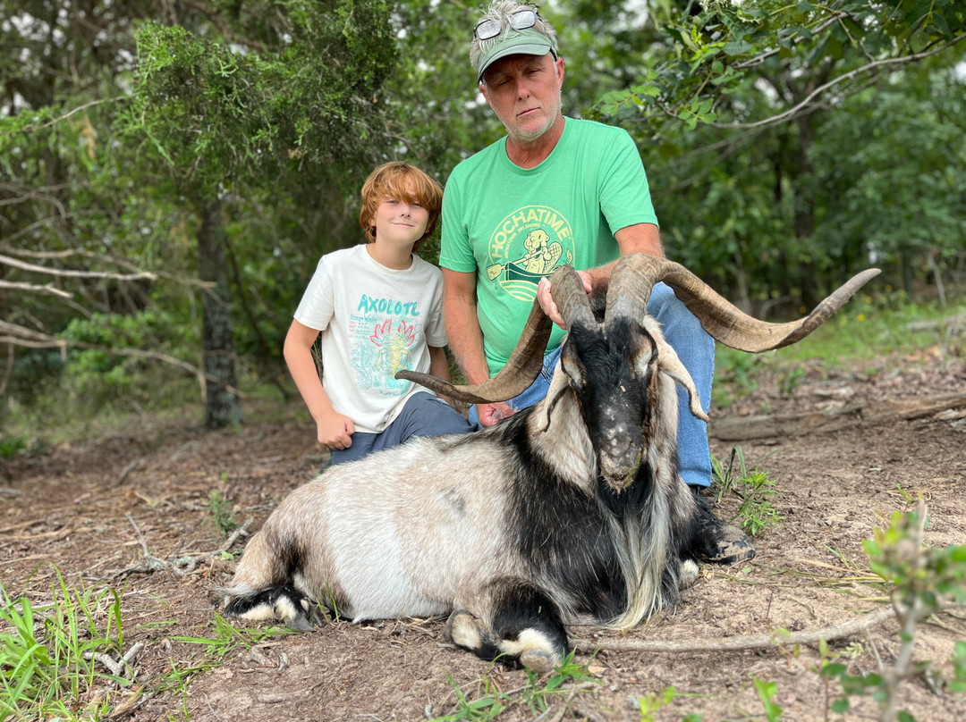 Cedar Cove Ranch主图