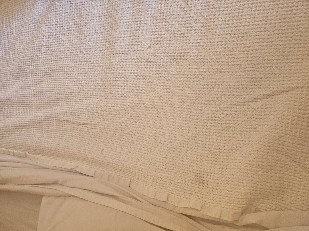 PortSaid Hotel主图