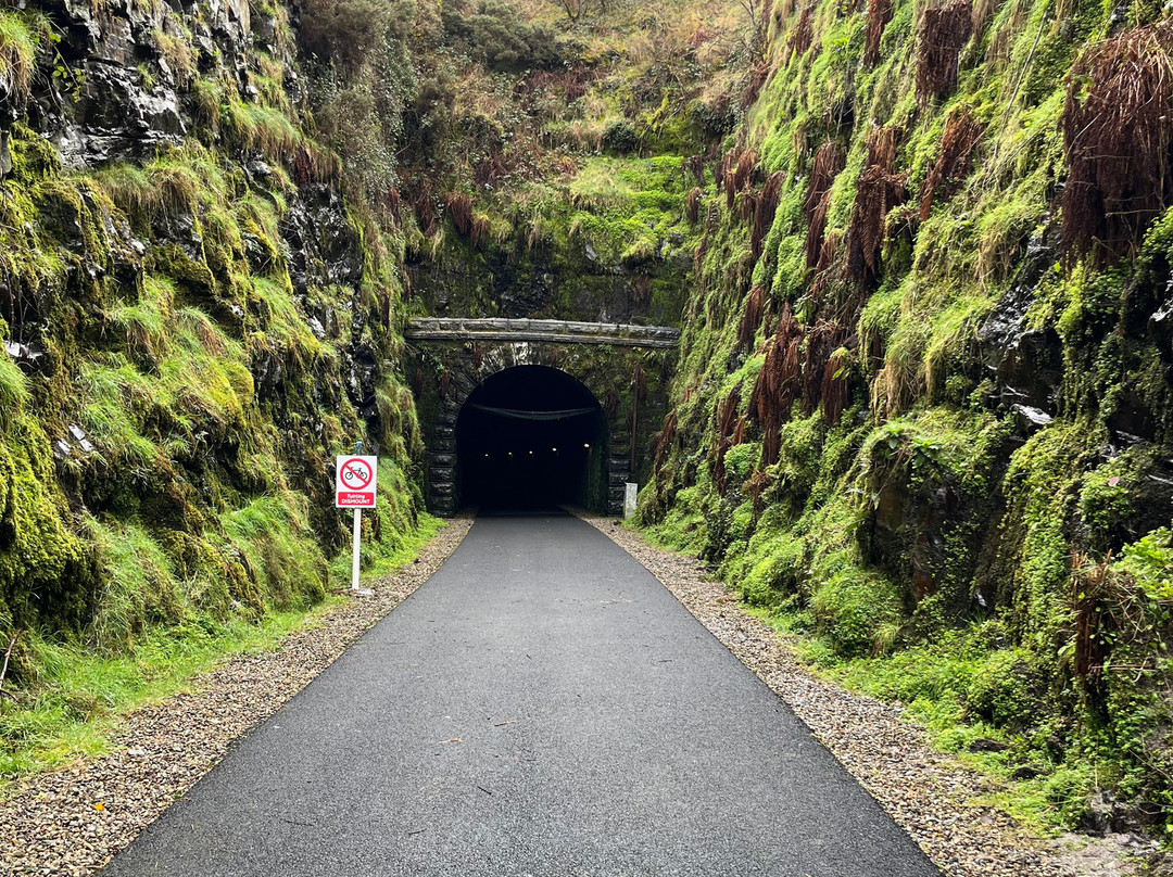 Locomotion Bike Rental-利默里克必去景点