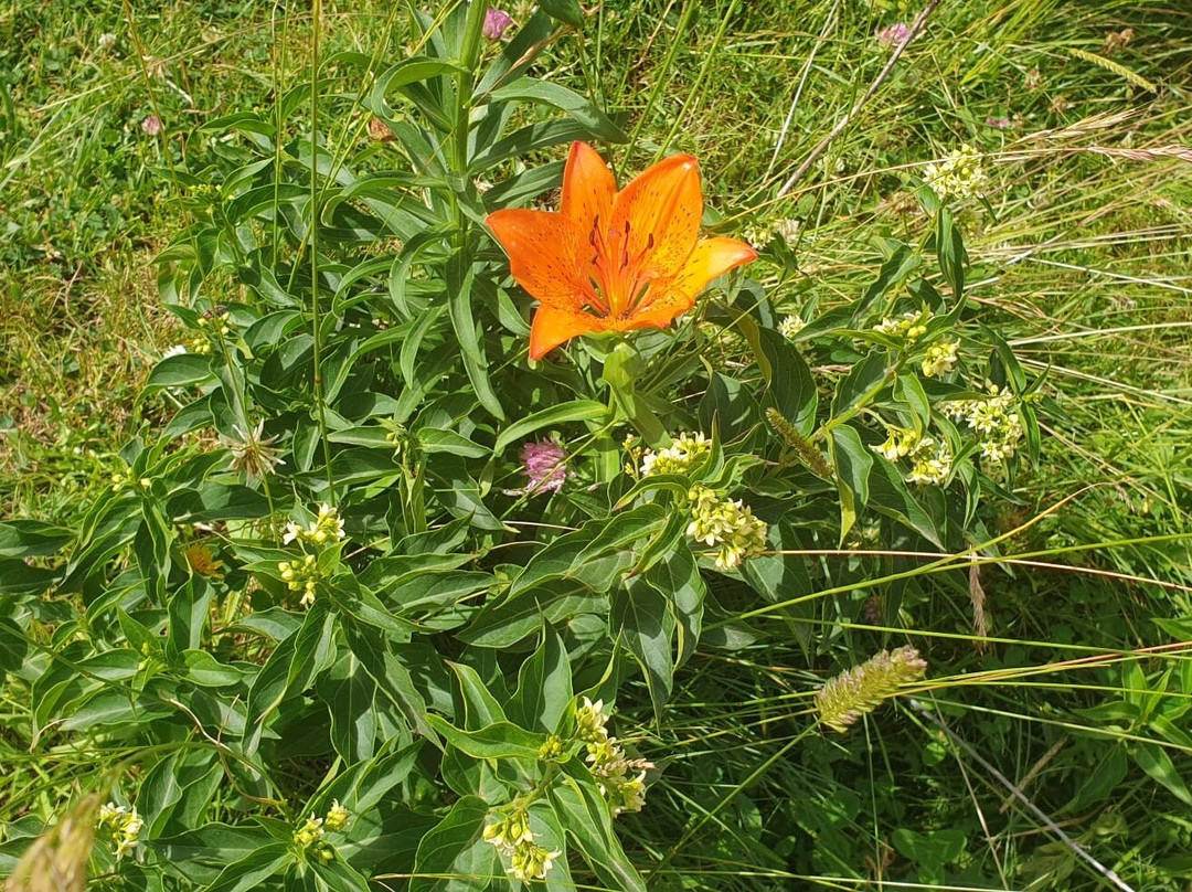 Matese Lake-San Gregorio Matese必去景点