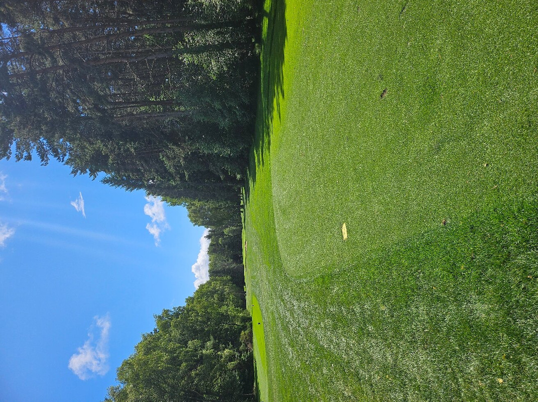Golf Club des Volcans景点图片