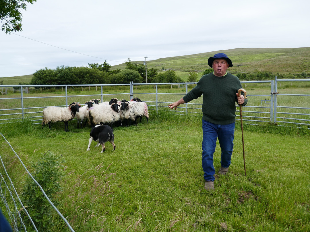 Glen Keen Farm景点图片