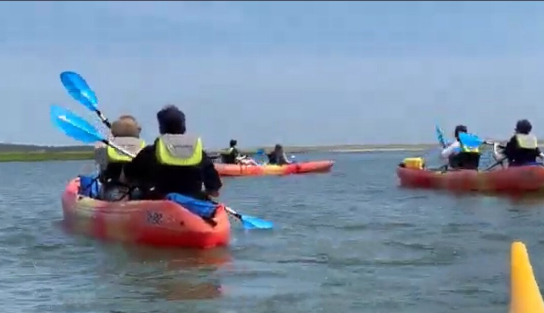 Paddle Cape Cod景点图片