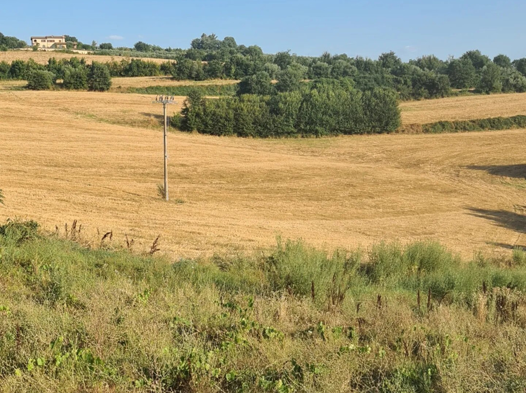 Antica Fattoria del Colle主图