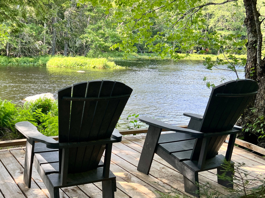 Mersey River Chalets and Nature Retreat主图