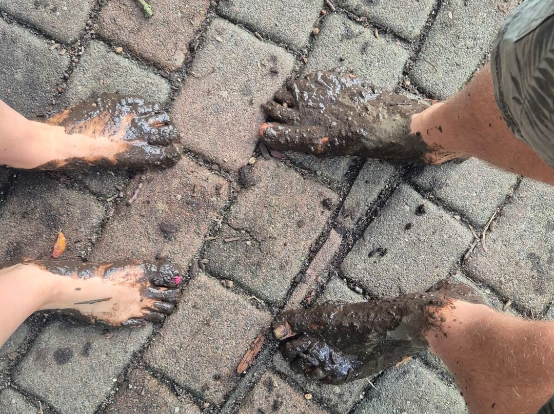 BARFUSSpark Schwackendorf-Hasselberg必去景点