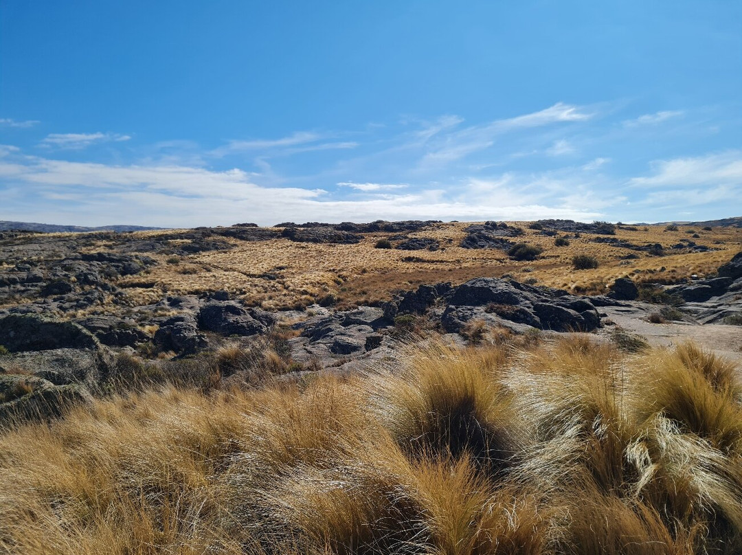 Parque Nacional Quebrada del Condorito-Villa Carlos Paz必去景点
