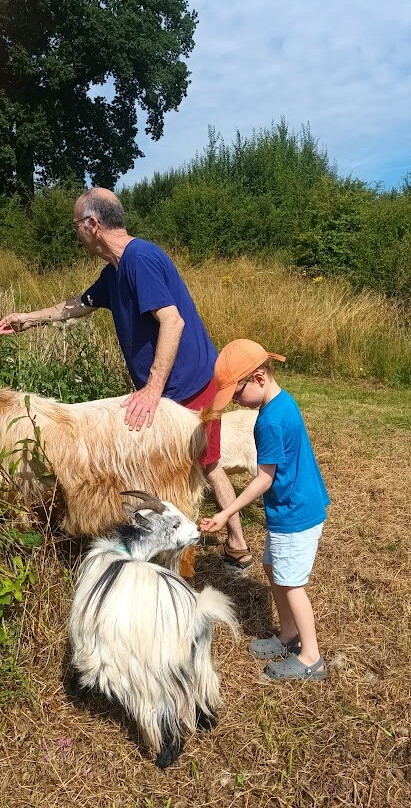 Goat & Sheep Walk Experience景点图片