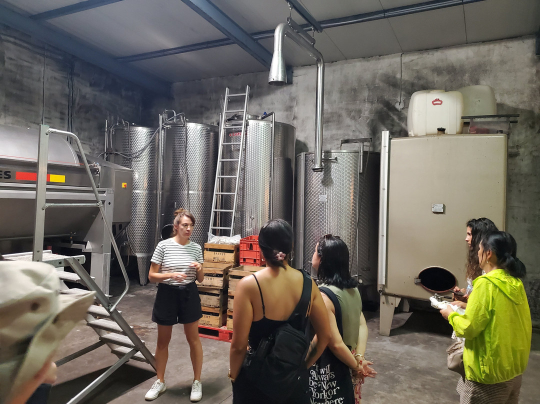 Domaine Specht - Vins et activités oenotouristiques-Mittelwihr必去景点